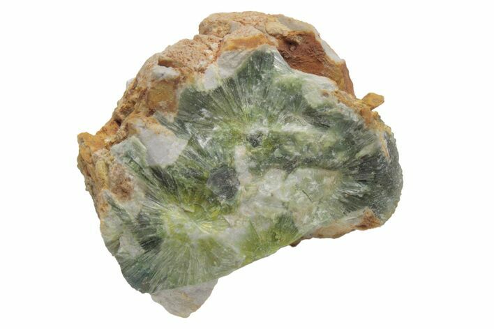 Radiating, Green Wavellite Crystal Aggregation - Arkansas #213275